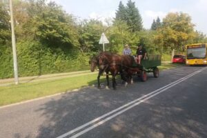 Bo- Og Servicecenter Søvænge